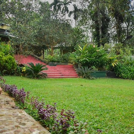 Blue Magpie Lodge Sinharaja Kudawe Bagian luar foto