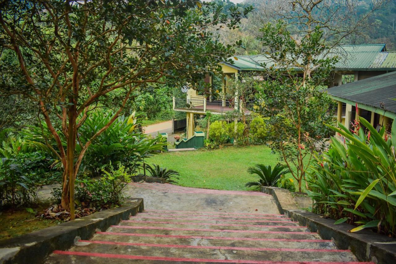 Blue Magpie Lodge Sinharaja Kudawe Bagian luar foto