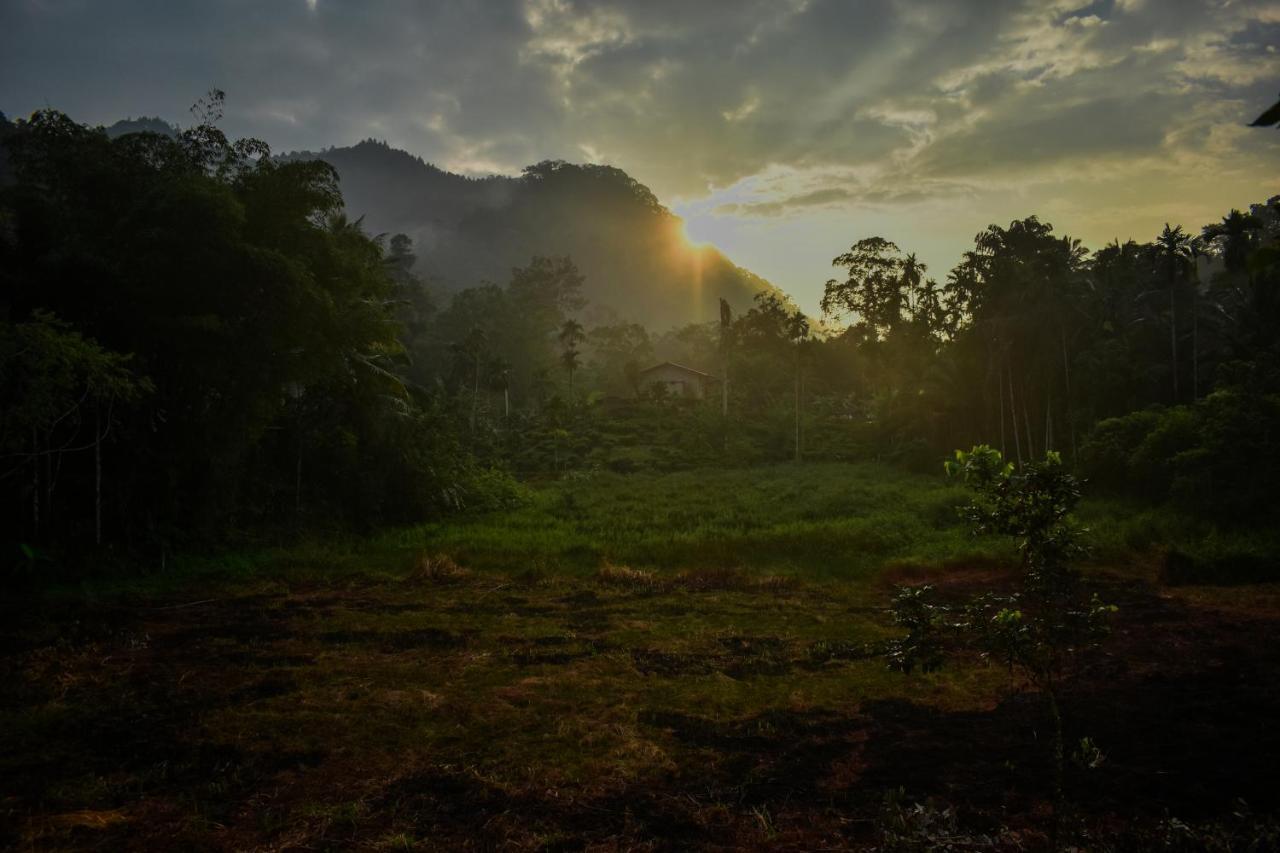 Blue Magpie Lodge Sinharaja Kudawe Bagian luar foto