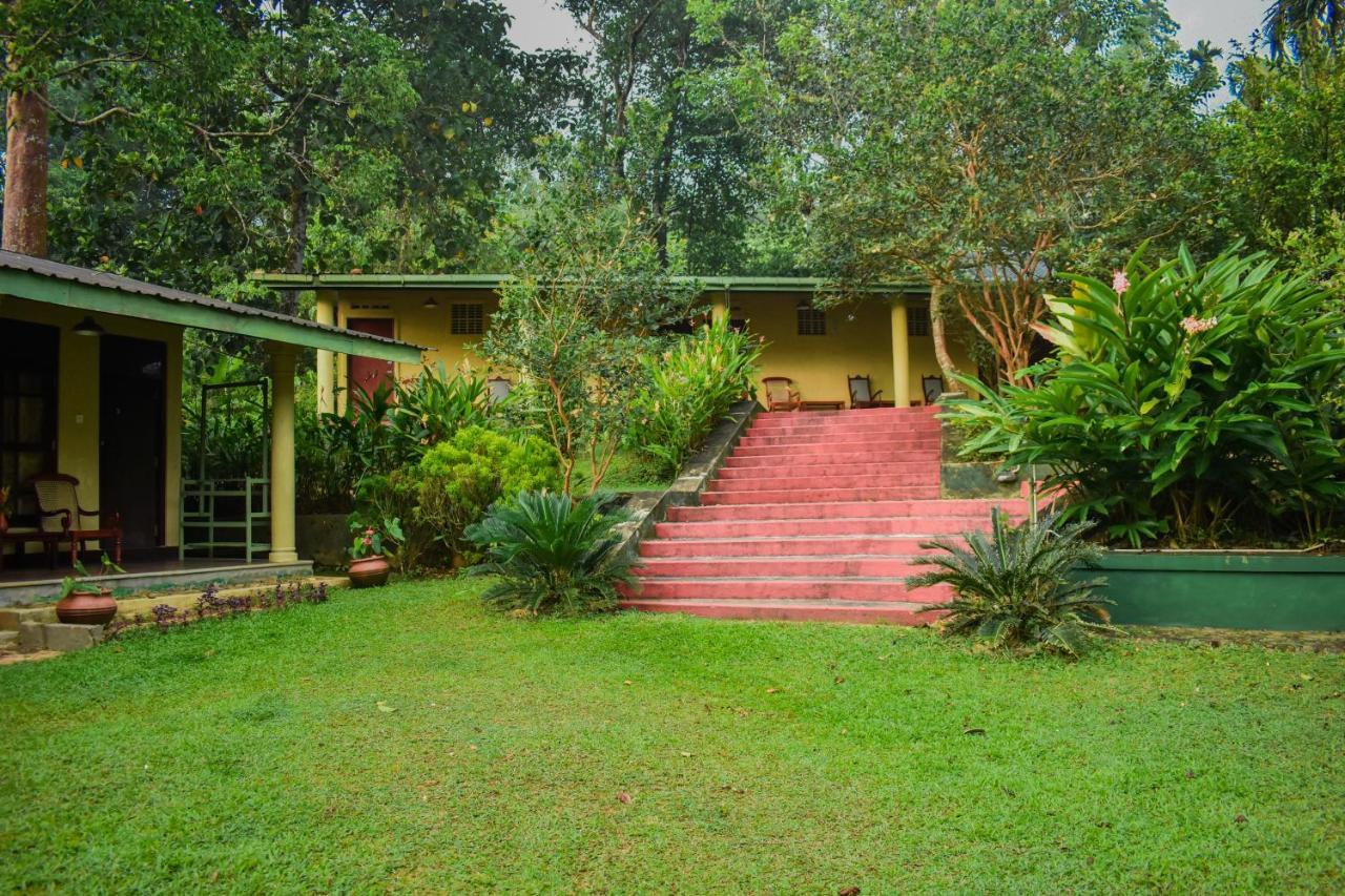 Blue Magpie Lodge Sinharaja Kudawe Bagian luar foto