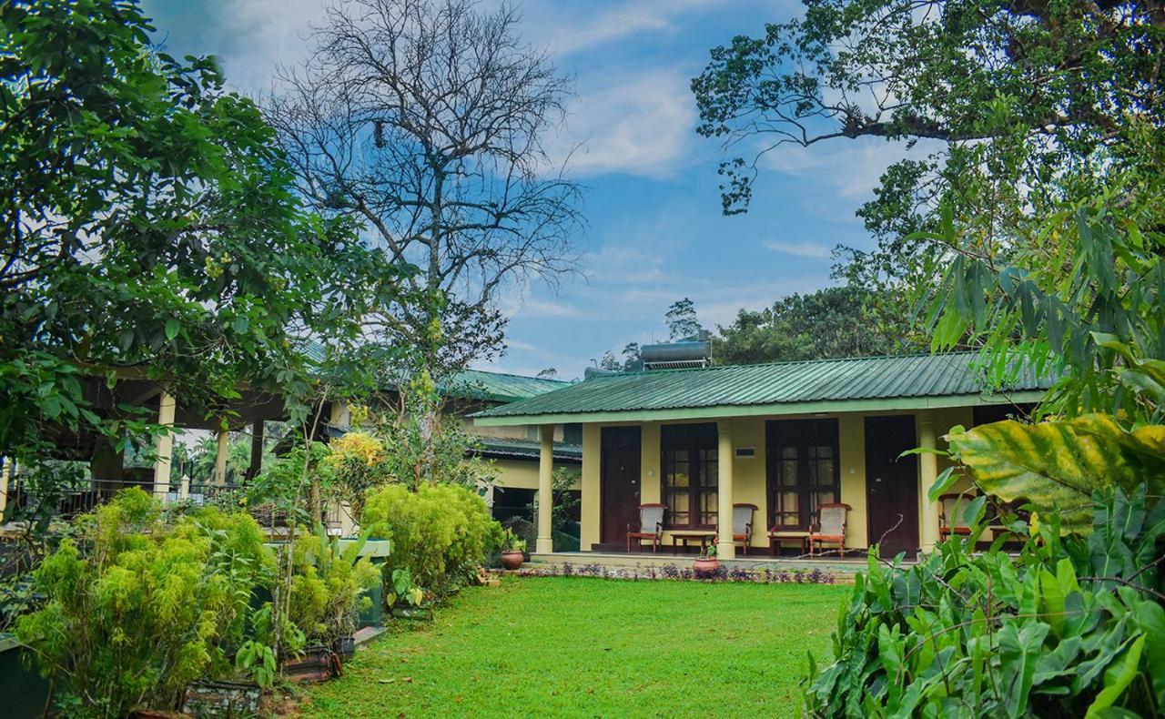 Blue Magpie Lodge Sinharaja Kudawe Bagian luar foto