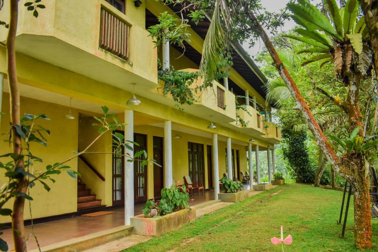 Blue Magpie Lodge Sinharaja Kudawe Bagian luar foto